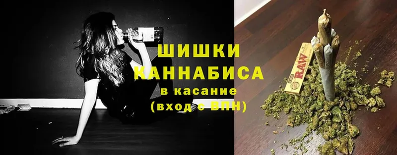 где найти   Мончегорск  Каннабис сатива 